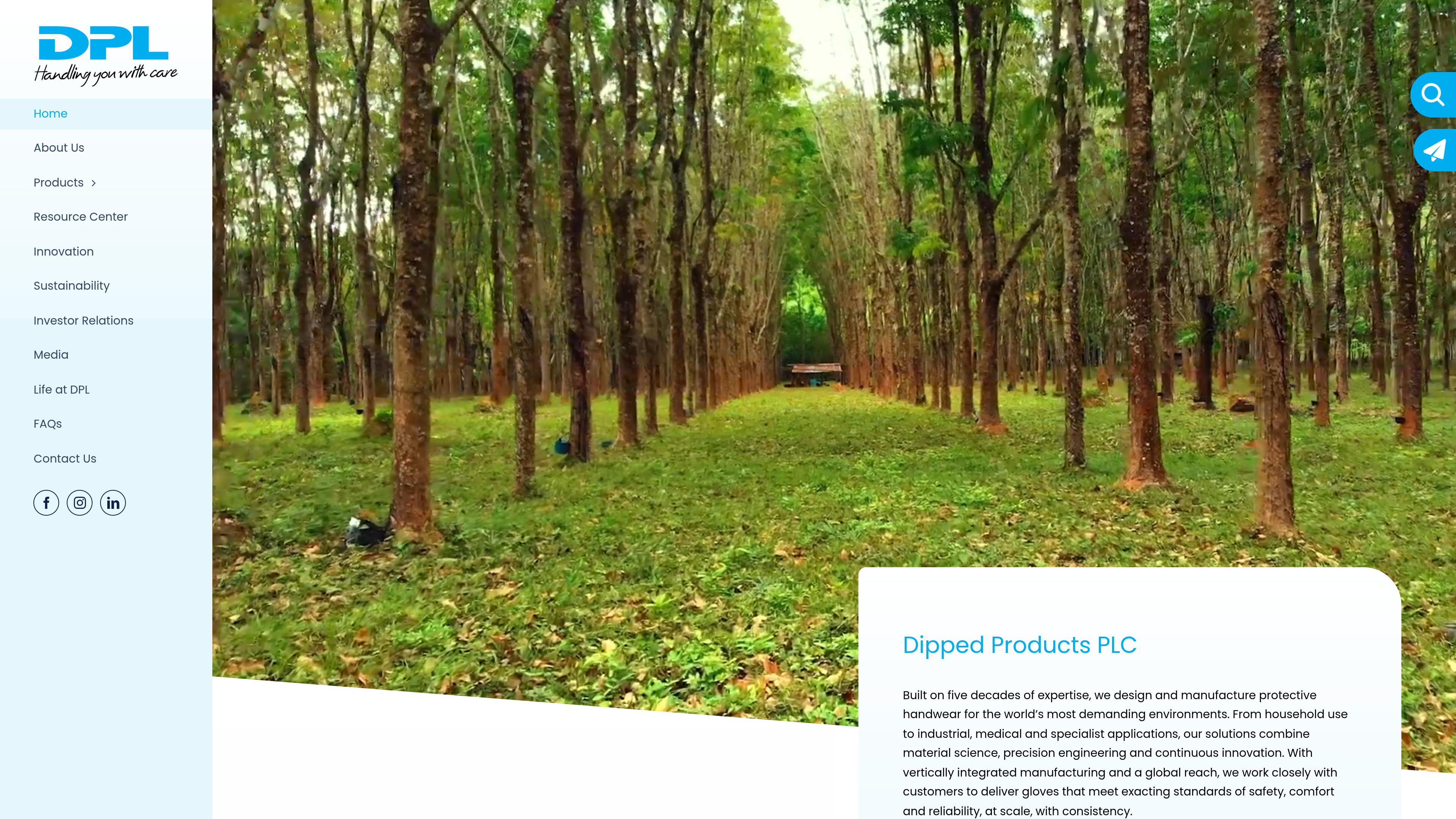 Homepage of the DPL Group website